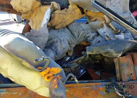 2024 Kia Telluride Ex из США, поврежденный, VIN 5XYP34GC3RG436457